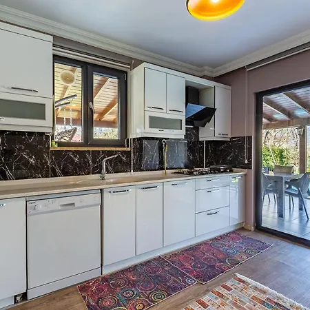 Amazing Duplex With Private Pool And Garden In Sapanca Near Kartepe شقة ساكاريا