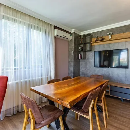 Amazing Duplex With Private Pool And Garden In Sapanca Near Kartepe